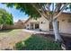 Spacious backyard featuring a covered patio, lush lawn, and mature shade trees at 4344 W Kimberly Way, Glendale, AZ 85308