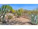 Backyard featuring desert landscaping, cacti, boulders and privacy fence at 7283 E Brisa Dr, Scottsdale, AZ 85266