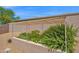 Charming backyard featuring a covered patio area and a garden with a variety of plants and flowers at 7283 E Brisa Dr, Scottsdale, AZ 85266