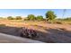 Backyard patio and a picturesque view of the desert landscape with native plants and a golf course at 8061 E Lavender Dr, Gold Canyon, AZ 85118