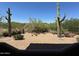 Expansive backyard featuring desert landscape and mature cacti at 8880 E Paraiso Dr # 120, Scottsdale, AZ 85255