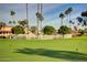 View of the golf course surrounded by palm trees and landscaping at 10124 E Michigan Ave, Sun Lakes, AZ 85248