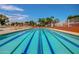 Exterior view of the community lap pool lined with palm trees at 10124 E Michigan Ave, Sun Lakes, AZ 85248