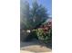 Landscaped front yard with mature trees and flowering bushes enhancing curb appeal at 2114 N 94Th Ave, Phoenix, AZ 85037
