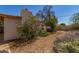 The backyard showcases a blend of greenery and open space at 2138 W Northview Ave, Phoenix, AZ 85021