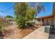 The backyard features a large tree that provides shade and greenery at 2138 W Northview Ave, Phoenix, AZ 85021