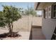 Landscaped backyard with a tree and privacy block wall at 5602 W Heatherbrae Dr, Phoenix, AZ 85031