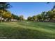 Well-maintained neighborhood green space, perfect for a leisurely stroll or outdoor activities at 786 E Coconino Dr, Chandler, AZ 85249