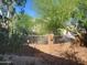 Private backyard with gravel, a tan fence, desert landscaping and a lush green tree at 1257 E Voltaire Ave, Phoenix, AZ 85022