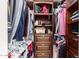 Organized walk-in closet featuring built-in shelves, drawers, and ample storage space at 14000 N 94Th St # 2187, Scottsdale, AZ 85260