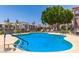 Sparkling pool with lush landscaping and comfortable lounge chairs. Community ammenity at 14000 N 94Th St # 2187, Scottsdale, AZ 85260