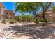 Community walkway with desert landscaping offering a serene and inviting residential ambiance at 14000 N 94Th St # 2187, Scottsdale, AZ 85260