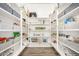 Walk-in pantry features extensive shelving and organized storage solutions at 15006 N 172Nd Ln, Surprise, AZ 85388