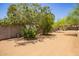 Lush greenery and mature trees adorn the spacious backyard at 6330 E Delcoa Ave, Scottsdale, AZ 85254