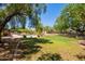 Expansive backyard with mature trees, lush lawn, and a sparkling pool, creating a serene outdoor retreat at 6330 E Delcoa Ave, Scottsdale, AZ 85254