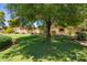 This beautiful home is shaded by a mature tree and features lush landscaping at 6330 E Delcoa Ave, Scottsdale, AZ 85254
