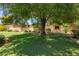 Charming home featuring a lush green lawn shaded by a mature tree, enhancing its curb appeal at 6330 E Delcoa Ave, Scottsdale, AZ 85254