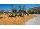 Contemporary playground equipped with multiple slides and play equipment on woodchip ground at 7238 N 126Th Ln, Glendale, AZ 85307