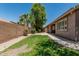 Private fenced backyard featuring desert landscaping with mature palm trees, lush green lawn and rock beds at 162 W Raven Dr, Chandler, AZ 85286