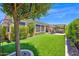 Manicured backyard showcasing a patio, lush green lawn, and meticulously maintained landscaping at 1673 E Laddoos Ave, Queen Creek, AZ 85140