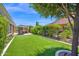 Serene backyard with manicured lawn, covered patio, dining area, and privacy landscaping, perfect for outdoor enjoyment at 1673 E Laddoos Ave, Queen Creek, AZ 85140