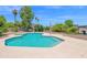 Backyard pool surrounded by green landscaping, palm trees, and a clear blue sky at 2607 E Mercer Ln, Phoenix, AZ 85028