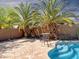 Serene backyard featuring a pristine pool, mature palm trees, and a shaded seating area at 45726 W Long Way, Maricopa, AZ 85139