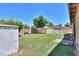 Well-maintained backyard with lush grass, mature tree, storage sheds and some garden boxes at 5800 S College Ave, Tempe, AZ 85283