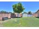 Spacious backyard with a large tree and storage sheds, offering both shade and practicality at 5800 S College Ave, Tempe, AZ 85283