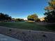 Expansive green space surrounded by lush trees, and community landscaping, great for outdoor activities at 1350 S Greenfield Rd # 1219, Mesa, AZ 85206