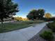 Scenic view of the common green space with trees and well maintained lawns, perfect for outdoor activities at 1350 S Greenfield Rd # 1219, Mesa, AZ 85206