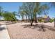 Attractive desert landscaping in the backyard offers mature trees and privacy at 15953 W Catalina Dr, Goodyear, AZ 85395