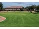 Large grassy backyard with mature trees and desert landscaping at 42087 W Manderas Ln, Maricopa, AZ 85138
