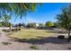 Well-manicured community park showcasing green space and mature trees at 15611 W Cameron Dr, Surprise, AZ 85379