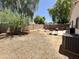 Large backyard with gravel landscaping, mature trees, and multiple seating areas for outdoor enjoyment at 15706 W Young St, Surprise, AZ 85374