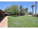 Large, grassy backyard with mature trees, stone pathway, and clear blue sky at 1844 W Virginia Ave, Phoenix, AZ 85007
