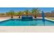 Backyard pool with a tanning ledge and blue tile waterfall feature surrounded by palm trees in a desert landscape at 40913 W Williams Way, Maricopa, AZ 85138
