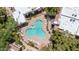 Aerial view of community pool with lounge chairs surrounded by lush landscaping at 750 E Northern Ave # 2006, Phoenix, AZ 85020