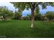 Lush community lawn area with mature trees, a picnic table, and scenic landscaping at 8211 E Garfield St # J219, Scottsdale, AZ 85257