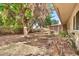 Backyard with mature fruit trees and a screened-in porch offering a private outdoor space at 10205 W Royal Oak Rd, Sun City, AZ 85351