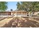 Backyard with screen enclosed patio attached to the home featuring citrus trees at 10205 W Royal Oak Rd, Sun City, AZ 85351