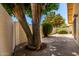 Secluded backyard patio featuring mature trees, lush greenery, and a private outdoor space for relaxing and entertaining at 7324 S Bonarden Ln, Tempe, AZ 85283