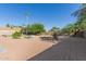 Expansive backyard showcasing a gravel area, a palm tree, and various shrubs and foliage at 3433 E Betty Elyse Ln, Phoenix, AZ 85032