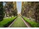 Well-manicured grounds with tree-lined grass lane and decorative trimmed bushes at property at 4316 N 40Th St, Phoenix, AZ 85018