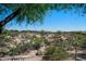 Expansive backyard featuring native desert vegetation, offering privacy and a serene natural setting at 10119 E Winter Sun Dr, Scottsdale, AZ 85262