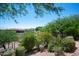 A backyard with shrubs and trees showcases mountain views in the distance at 10119 E Winter Sun Dr, Scottsdale, AZ 85262