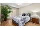 Bright bedroom boasts wood floors, plant, and comfortable bed with decorative pillows at 10330 W Thunderbird Blvd # C207, Sun City, AZ 85351