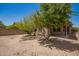 Backyard with mature trees and block wall at 15131 W Melissa Ln, Surprise, AZ 85374