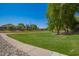 An expansive green space with sidewalk and mature shade trees at 15131 W Melissa Ln, Surprise, AZ 85374