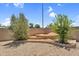View of gravel backyard featuring steps for desert landscaping with lush trees and a privacy wall at 5529 E Holmes Ave, Mesa, AZ 85206